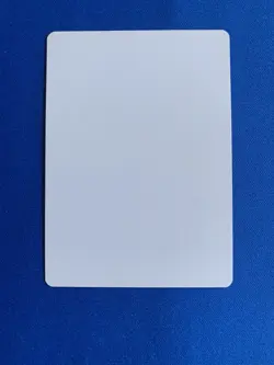 MTG Magic Forest 248 Signed Artist Proof x1 Shards Of Alana Boros & Szikszai - Image 2