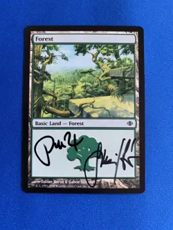 MTG Magic Forest 247 Signed Artist Proof x1 Shards Of Alara Boros & Szikszai - Image 1