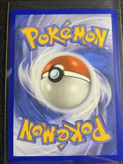 Bulbasaur, Charmander, Squirtle Pokemon First Partner Black Star 30th Promos - Image 3