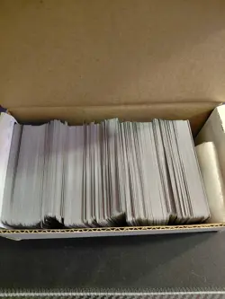 500 Basic Land Magic The Gathering 100 Each: Swamp Mountain Plains Island Forest - Image 3