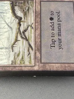 Swamp MTG ALPHA 290 (A)—Moderately Played Very Good—Vintage Magic: the Gathering - Image 5