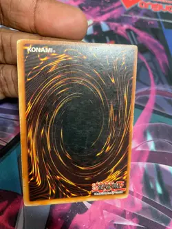 YUGIOH - RED EYES B. DRAGON - ULTRA RARE - SDJ - UNLIMITED - HP - Image 2