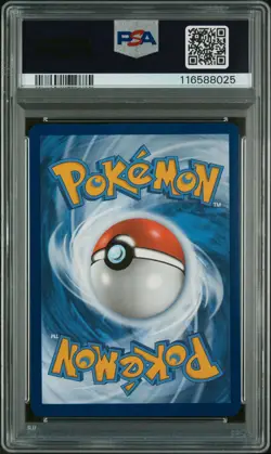 Wailord (Illustration Rare) PSA 10 Journey Together 162/159 IR Pokemon Card-025 - Image 2