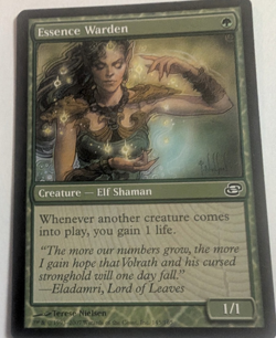 Essence Warden Planar Chaos Regular Near Mint Elf Lifegain Magic the Gathering - Image 1