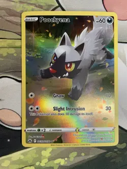Pokemon TCG: Poochyena GG33/GG70 Crown Zenith: Galarian Gallery Holo - Image 1