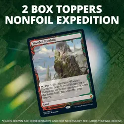 Magic: The Gathering Zendikar Rising Collector Booster Box | 12 Packs (180 Ca... 630509917877 - Image 3