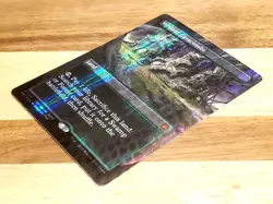 1x Verdant Catacombs, Dragonscale Foil - Special Guests TKR, Magic MTG LP Ding - Image 4