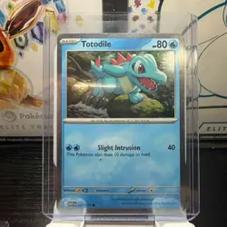 Chikorita 008 Tepig 029 Totodile 041 Cosmos Holo Promos Ascended Heroes Pokemon - Image 2