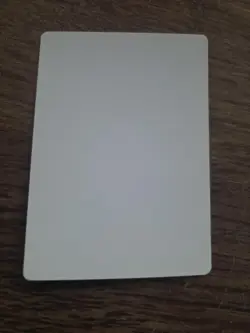 Immolation Artist Proof SIGNED By Scott Kirschner Mtg - Image 2