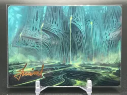 MTG Swamp 63/81 Phyrexia: All Will Be One Signed Art Series Card - Image 1