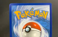 Bouffalant Pokemon Stellar Crown Staff Promo #136 - Image 5