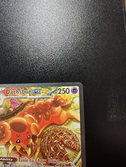 Pokemon Dachsbun ex 169/142 SV07 Stellar Crown Illustration Rare NM - Image 4