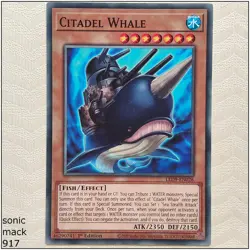 Citadel Whale - LED9-EN026 - Common 1st Edition Yugioh - Image 1