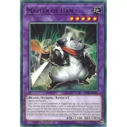 PHNI-EN040 Master of Ham :: Common 1st Edition YuGiOh Card - Image 1