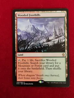 2014 Magic The Gathering MTG Wooded Foothills - Image 1