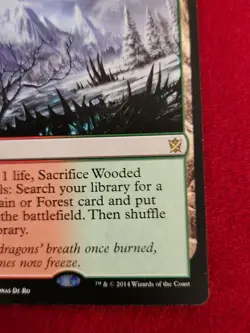 2014 Magic The Gathering MTG Wooded Foothills - Image 5