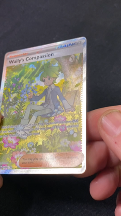 Pokemon - Wally's Compassion - 186/132 - ME01: Mega Evolution - Image 2
