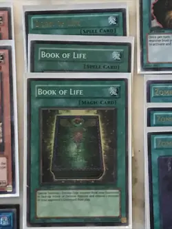 Yu-Gi-Oh “ZOMBIE CARD LOT” Of 43 (P182) - Image 3