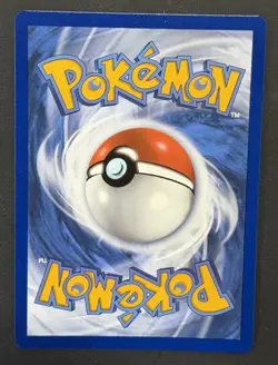 Phanpy Pokemon SWSH117 Black Star Promo With HD Swirl - Image 3