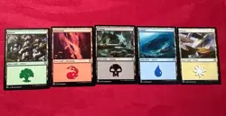 Zendikar Rising Land Lot Of 5 ZNR 1 Each Basic MTG Magic The Gathering Non-Foil - Image 1