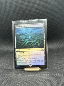 MTG Card : Hedge Maze (Murders Karlov Manor) FOIL - Image 1