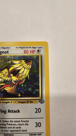 Pidgeot 8/64 LP* Holo Rare Jungle Set Unlimited Edition Pokemon Card 1999 WOTC - Image 3