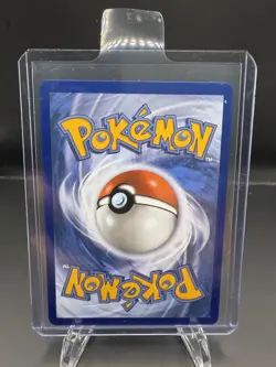 Pokemon First Partner Illustration Collection | Gen 7 Starters | Set Of 3 NM - Image 5