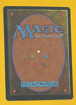 MTG SUNASTIAN FALCONER Legends (OldManMTG 004-527) - Image 2