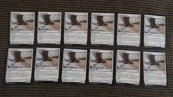 Magic: the Gathering / MtG Tempest Hawk x12 Tarkir Dragonstorm - Image 1