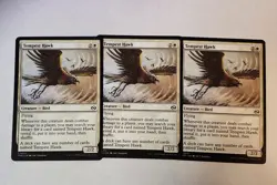 3x Tempest Hawk Tarkir: Dragonstorm Regular - Image 1