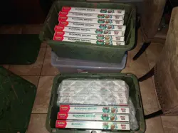 Pokemon Scarlet Violet 151 Blooming Waters premium AUTHENTIC New 14 sealed boxes - Image 1