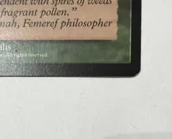 City of Solitude | MtG Magic the Gathering | Visions | English | M/NM - Image 2