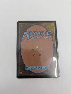 Teferi, Time Raveler (Borderless) - MTG - NM (Commander: Bloomburrow) Unplayed - Image 3