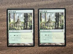 Two (2x) Temple Garden (RAV) Chinese ZHS LP - Image 1