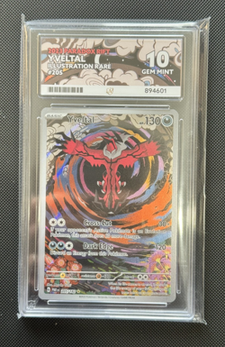 Pokemon TCG Yveltal 205/182 | Paradox Rift Illustration Rare | Ace 10 Gem Mint - Image 1