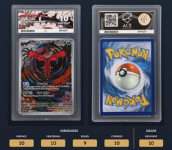Pokemon TCG Yveltal 205/182 | Paradox Rift Illustration Rare | Ace 10 Gem Mint - Image 3