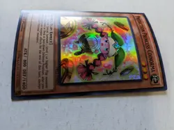 Prediction Princess Coinorma YUGIOH DRL2-EN030 1st Edition Holofoil 32231618 - Image 2