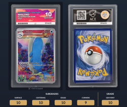 Pokemon TCG | Wailord 162/159 | Journey Together IR | ACE 10 GEM MINT - Image 3