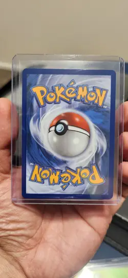 First Partner Illustration Collection Bulbasaur Charmander Squirtle, Pokemon TCG - Image 5
