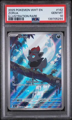 Zorua 142/086 Pokemon Sv: White Flare Holo Illustration Rare IR PSA 10 GEM MINT - Image 1