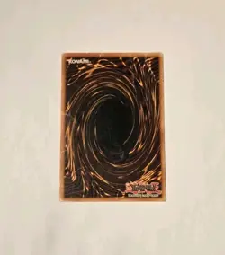 Yugioh Dark Paladin DMG-001 Secret Rare Limited Edition Damaged - Image 2