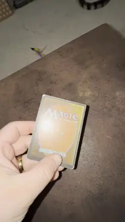 Taiga - MTG: Magic the Gathering - Revised - MP/HP+ - Image 2