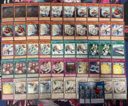 YUGIOH - WHITE FISH SYNCHRO DECK - AURA BIHAMUT, WHALE, SUPER ANCIENT COELACANTH - Image 1