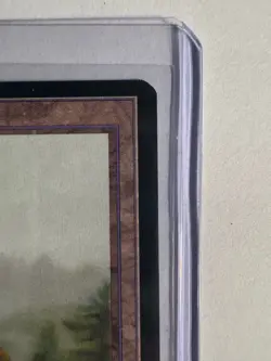 Brushland Ice Age Regular - Image 3