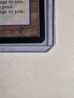 Brushland Ice Age Regular - Image 4