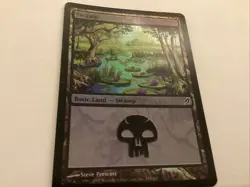 MTG Magic the Gathering Swamp (293/301) Lorwyn LP FOIL - Image 1