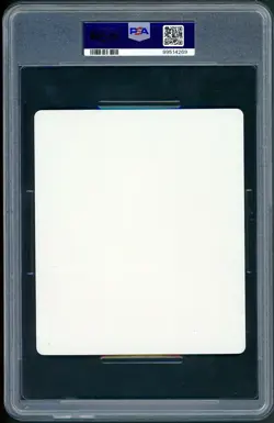 PSA 9 Shadow Lugia Japanese XD Gale of Darkness Lenticular Promo Pokemon Eevee - Image 2