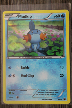 Pokemon TCG Mudkip XY38 XY Holo Black Star Promo - Image 1