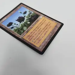 Lotustal (Lotus Vale - German) Weatherlight Magic the Gathering MTG Regular NM - Image 4