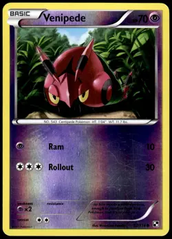 Venipede 52/114 Common Black & White Pokemon Reverse Holo LP - Image 1